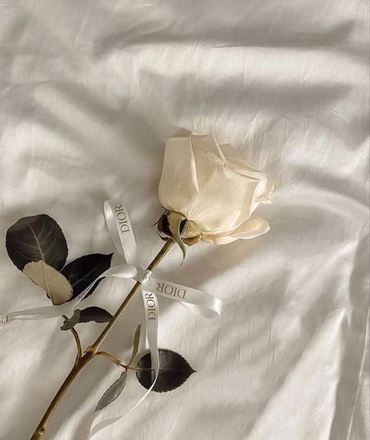 SoftValleyApple workshop space where corporate flower arrangements are designed and prepared for business delivery